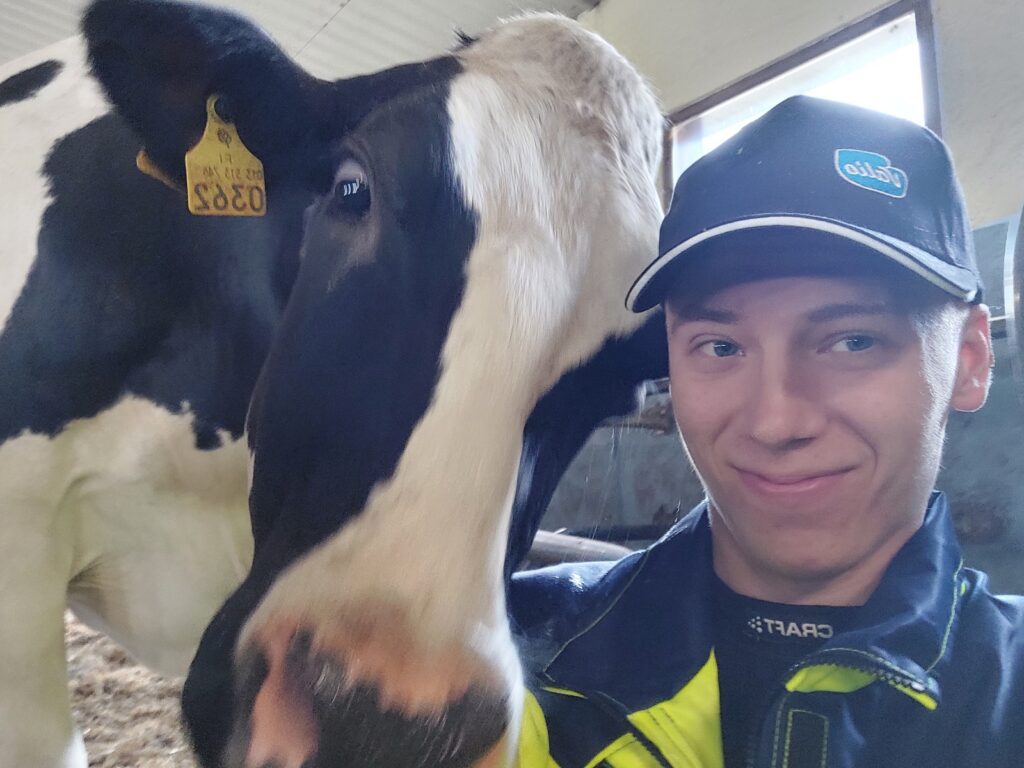 Ihamäen tilan Sipari ja sieppari